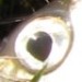 Avatar von Fishin' Rookie