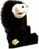 Avatar von Rapante