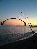 Avatar von see-angler