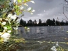 Sommer-aktion 2010 - 36