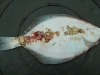 Lymphocystis