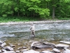Fliegenfischer in Pennsylvania