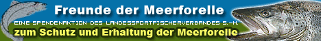 Freunde der Meerforelle